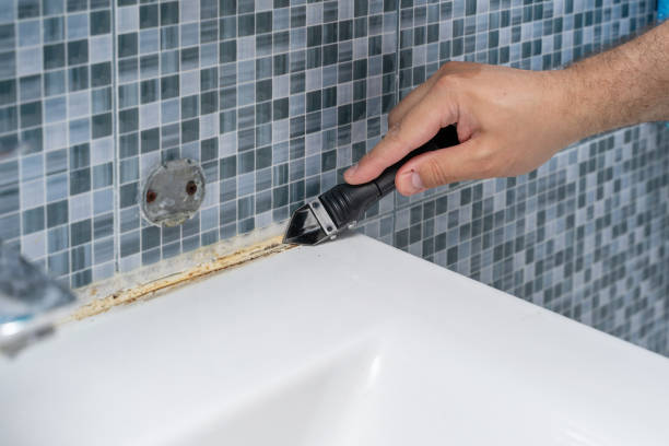 Certified Mold Removal in Newcastle, CA