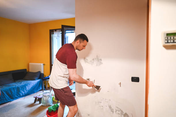 Best Mold Remediation  in Newstle, CA